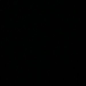 Meet your Posher, Alecia